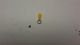 TERMINAL RING INSULATED 12-10 1/4