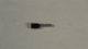 FERRULE WIRE #16 AWG SINGLE WIRE  EXPA