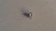 SCREW 10 x 1/2 PH PH SERRATED AB  DYNALI