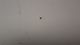 SCREW #6-32 x 1/2 FLAT PH MS U/C  DYNALI